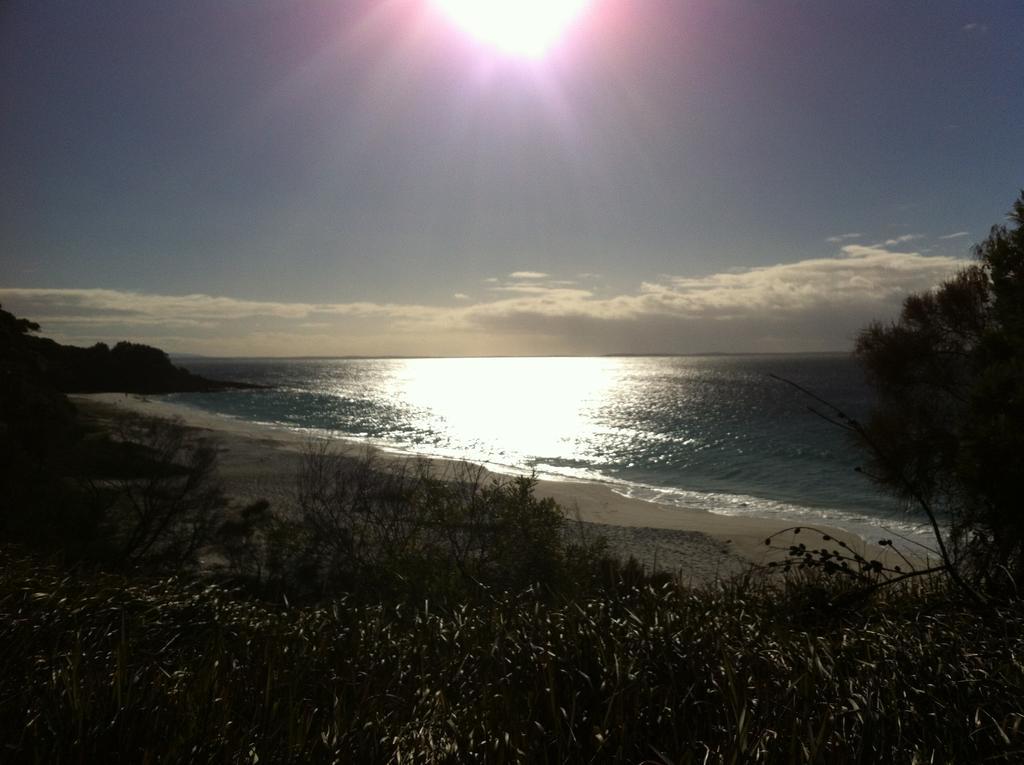 Hyams Beach - A Secret Treasure Oda fotoğraf
