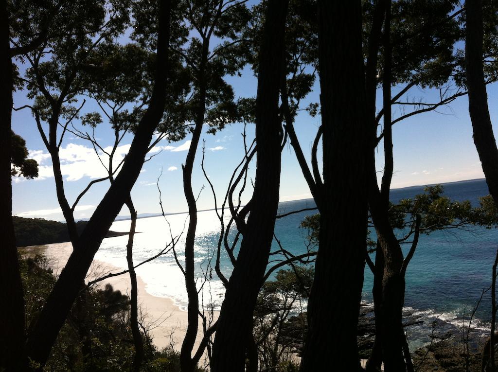 Hyams Beach - A Secret Treasure Oda fotoğraf